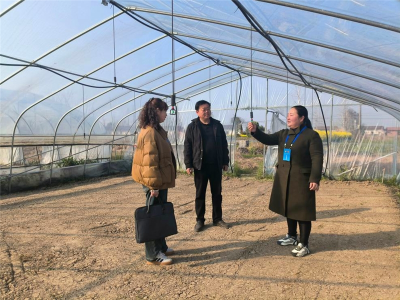 沙洋：下沉式监督 护航春耕生产