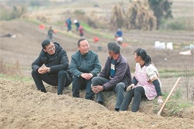 规范农村集体经济合同管理 算清“明白账” 守好“钱袋子”
