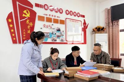 镜头 | 宜昌：强化对村巡察 梳通治理堵点