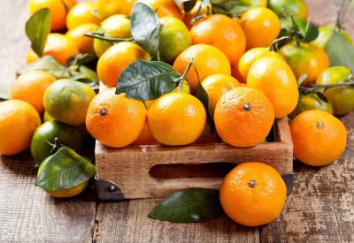 【橘子】如何提高橘子的清甜度？这几个要点一定要掌握