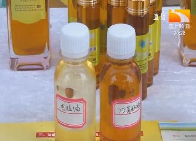 7D菜籽油加工新技术 助力武汉蔡甸油莱产业提档升级