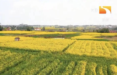 宜昌市夏季主要农作物施肥指导意见
