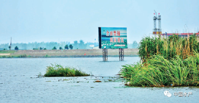 湖北武汉对长江 “十年禁渔” 中智慧渔政的探索与实践