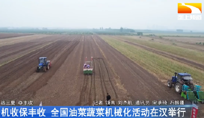 机收保丰收 全国油菜蔬菜机械化活动在汉举行
