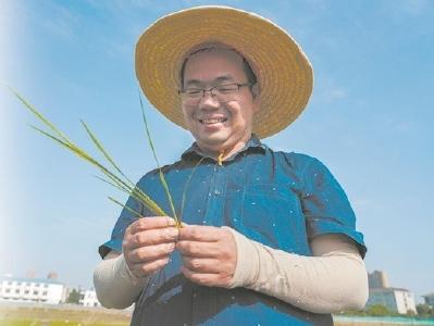 一年有200多天泡在田里研究水稻 他让湖北米成为优质米代名词