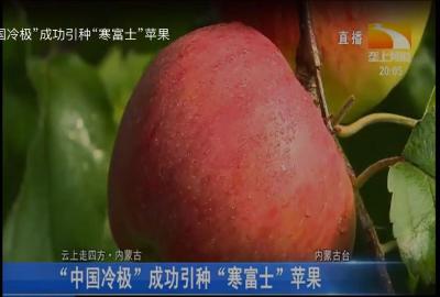 苹果园夏季生产管理技术指导意见中国果树