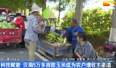 科技赋能 汉南5万多亩甜玉米成为农户增收主渠道