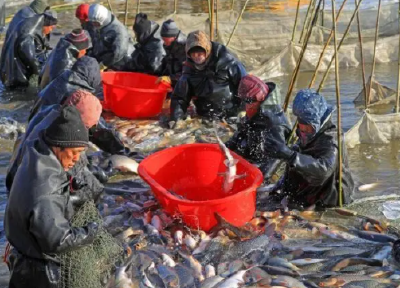 未来一周持续低温雨雪，做好渔业应对工作