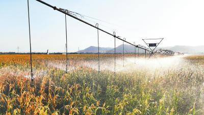 鄂北调水工程抗旱首战 92万亩农田不喊渴