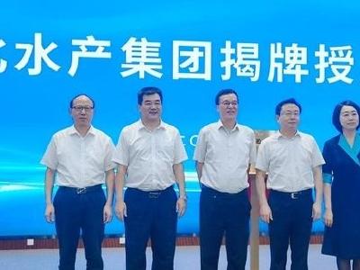 湖北水产集团正式揭牌成立，推动鄂州武昌鱼“游向世界”