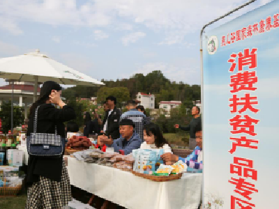 首届燕儿谷乡村振兴助农大直播活动在罗田县举行