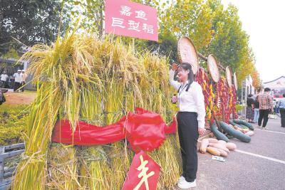 秋风携韵庆丰收 中国农民丰收节湖北主会场活动在黄冈麻城举行
