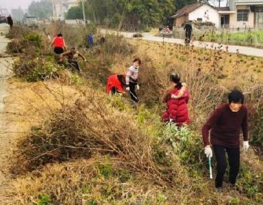 荆州村民清理沟渠树木杂草 确保新年农业丰收