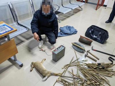 私铺电网干“副业”，襄阳谷城两男子非法狩猎被抓