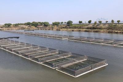 重磅！2023年度重点推广水产养殖品种和重点推广水产养殖技术发布！