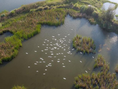 湖北新增两处国际重要湿地  总数居全国第二