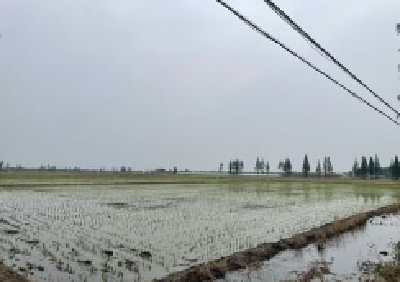 今年湖北汛期正式结束 防汛抗旱工作进入常态化防御阶段