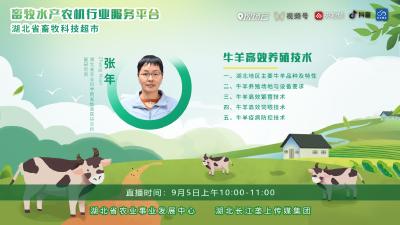 直播预告|牛羊高效养殖技术