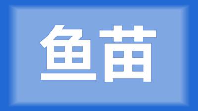 京山市王师傅：鲈鱼苗畸形是什么原因造成的？