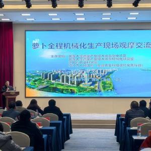 我省联合攻关推动萝卜全程机械化生产