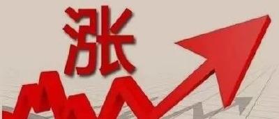 停机！“一粕难求”！广东豆粕狂飙，一周涨幅超6.6%！饲料会涨价吗？