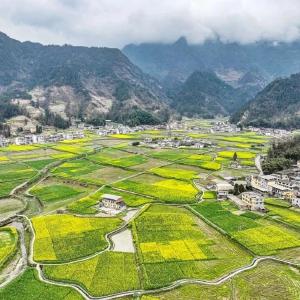 农业农村部召开常务会议 研究加快农业发展全面绿色转型 促进乡村生态振兴、培育农业企业等工作