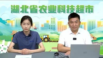 畜禽养殖废弃物资源化利用模式解读