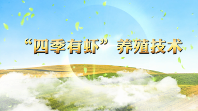 “四季有虾”养殖技术