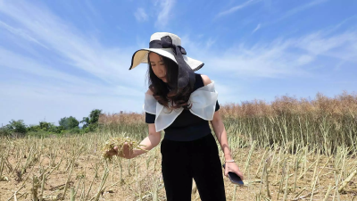 返乡创业|从商超传媒到田园牧歌：85后女企业家返乡创业 打造家庭农场新样板
