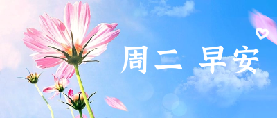 云上招聘|武汉博海鸿图船务有限公司招聘启事