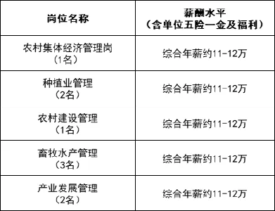 云上招聘|武汉长江新区管理委员会招聘公告