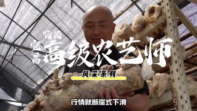 30 年守菌田！从单一种菇到 14 个品种，他让每亩地长出 "千斤黄金".mp4