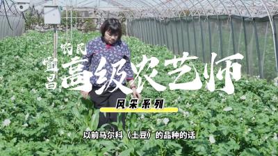 刘晓芹：点燃万亩希望绿浪，让土豆零浪费重生.mp4