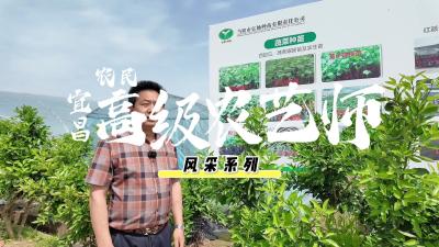 “与种子对话”的杨中军：二十年坚守，把农艺匠心揉进每一寸丰收土壤.mp4