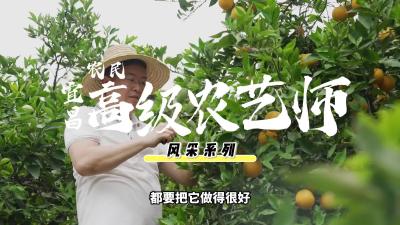 胡志刚：铺设山间轨道，让秭归橙“冲上云霄”.mp4