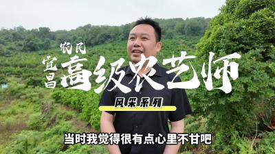 陈杰：从代码星河到柑橘田园的逐梦人.mp4