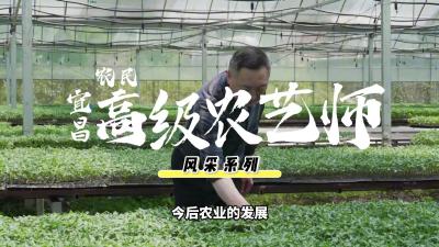 张智平：辞去公务员，在高山写下“田园诗”.mp4