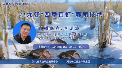 直播预告|小龙虾"四季有虾"养殖技术