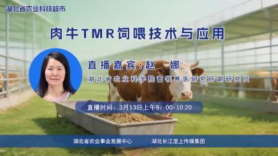 直播预告|肉牛TMR饲喂技术与应用
