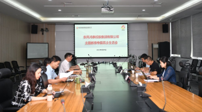 东风鸿泰召开主题教育专题民主生活会