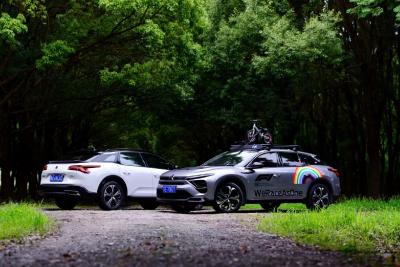 他的凡尔赛叫“阳光彩虹小白马”