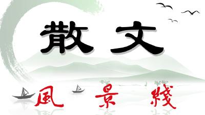 似水流年（散文 作者 卢忠庆）