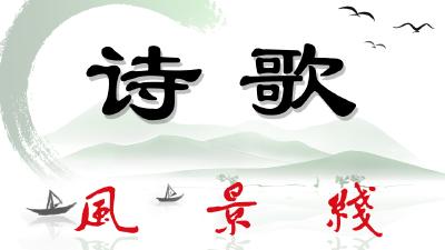 你在春风里纵情书写（诗歌 作者 半木）