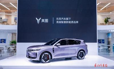岚图FREE+武汉首秀！岚图汽车携手武汉三镇闪耀华中国际汽车展览会