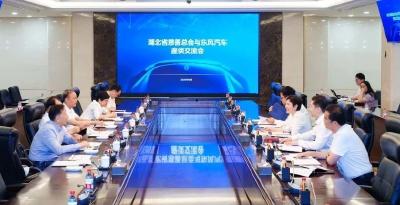 刘艳红会见湖北省慈善总会会长陈天会