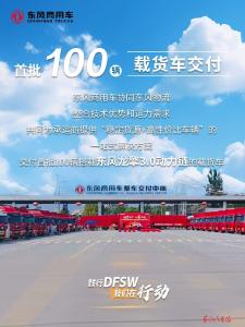 用对方式，效果加倍！DFSW让销量噌噌涨↗