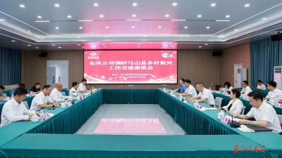 杨青到广西马山县调研乡村振兴工作时强调：因地制宜精准施策创新方法 助力乡村振兴工作迈上新台阶