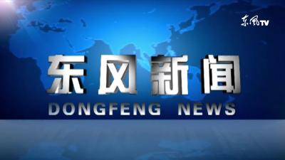 东风进出口：加速成为国际化跃迁主力军