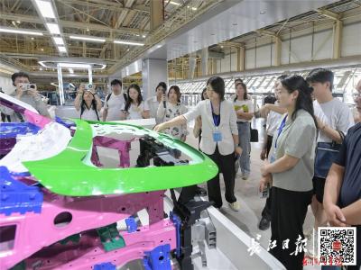 2025年“活力中国调研行”走进东风岚图智慧工厂