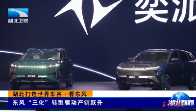 湖北卫视：东风“三化”转型驱动产销跃升